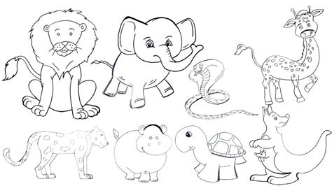 Wild Animals Drawing Easy Kids Drawing Learning Videos Wild Animals