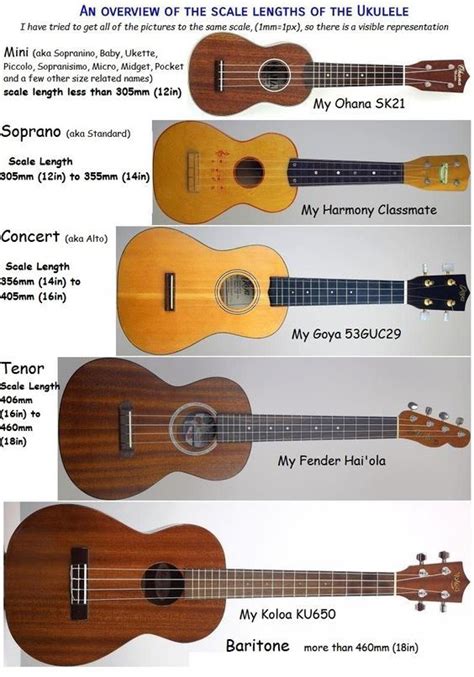 An Overview Of The Scale Lengths Of The Ukulele In 2022 Ukulele