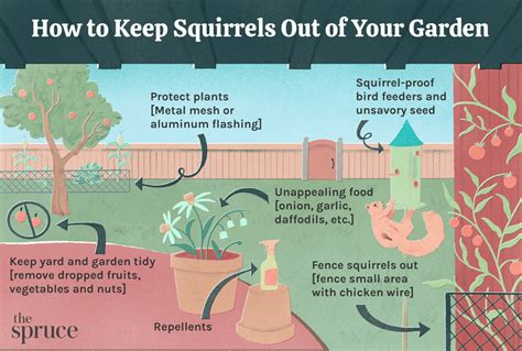 7 Simple Ways To Keep Squirrels Out Of Your Garden
