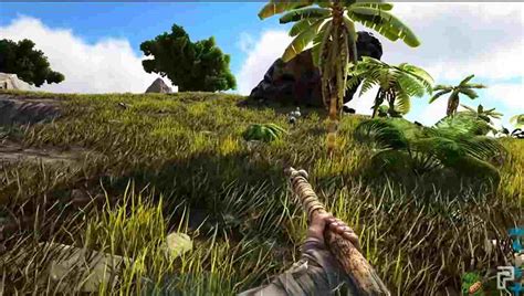 7 Things You Need To Know Before Starting Ark Survival Evolved