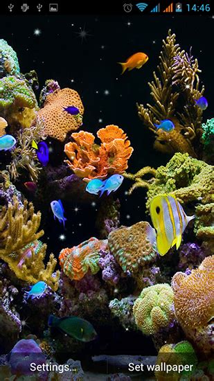 Descargar Aquarium By Best Live Wallpapers Free Para Android Gratis El