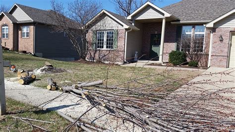 Improper grading will always create problems. Tree Removal, Yard Grading, Sod and More! - Jolly Lawncare