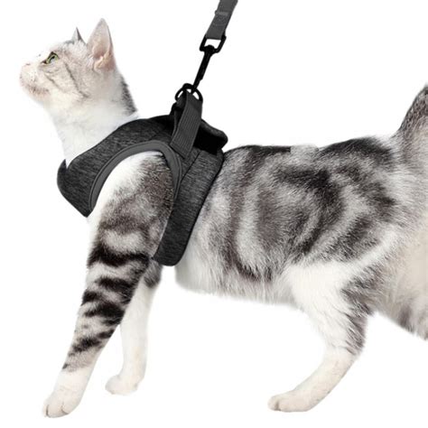 Cat Harness And Leash Set For Walking Escape Proof Soft Adjustable