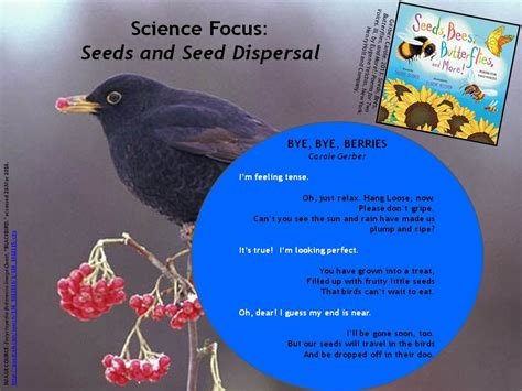 Poetry For Children Science Poetry Seeds And Seed Dispersal