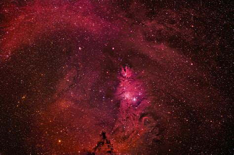Cone Nebula And Christmas Tree Cluster Ngc 2264 Astronomy Magazine