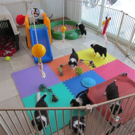 Puppy Playpen Puppy Playpen Dog Playground Whelping Puppies