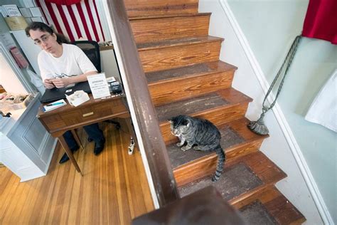 gettysburg museum shows off civil war tails involving cats in battle dioramas capital region