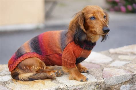 Dachshund Sweater Dog Clothes Doxie Clothes Dog Sweater Dog Coat Dog