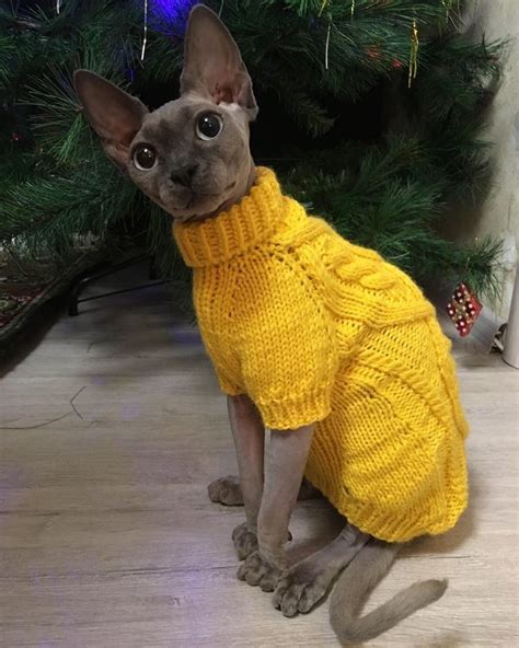 Cat Clothes Cat Clothing Sphynx Clothes Sweater For Sphynx Cat Sweater