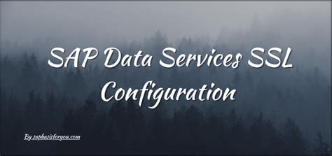 SAP Data Services SSL Configuration SAP BASIS For You