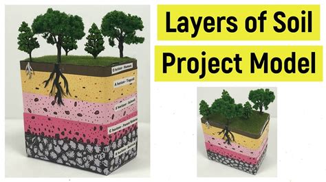 Layers Of Soil Project Model Soil Layers Model What Are The Layers