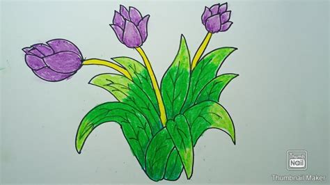 Cara Menggambar Bunga Tulip Cara Menggambar Bunga Yang Bagus