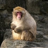 Zoos in NY | Come and Visit All Kinds of Animals Up Close!