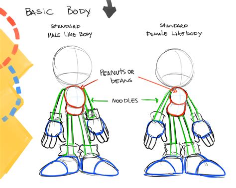 Sonic New Anatomy Five By Drawloverlala How To Draw Sonic Sonic Fan
