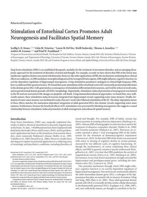 Pdf Stimulation Of Entorhinal Cortex Promotes Adult Neurogenesis And