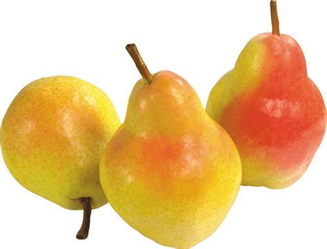 Download Pear Png Image Hq Png Image In Different Resolution Freepngimg