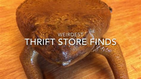 Weird Thrift Store Finds Youtube