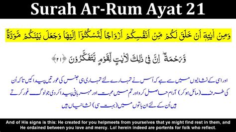 Yuk Simak Surah Rum Ayat Urdu Translation Read Islamic Surah My Xxx