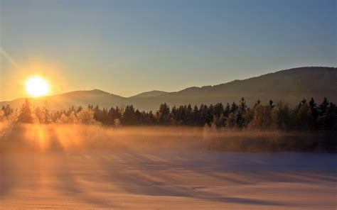 Mist Fog Nature Landscapes Fields Winter Snow Trees Forest Autumn Fall