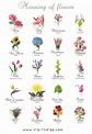 Flower meanings, Types of flowers, Birth flower tattoos