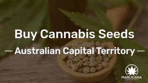 Buy Cannabis Seeds Australian Capital Territory Free Shipping