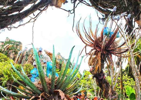 Beastly Kingdom -- The Lost Land of Disney's Animal Kingdom