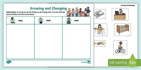 Growing And Changing Cut And Stick Worksheet Teacher Made