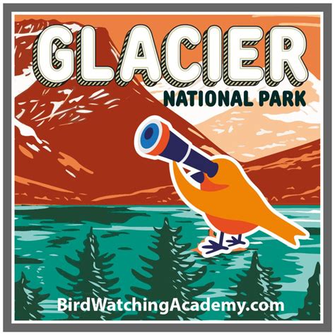 Bird Watching At Glacier National Park Bird Watching Academy