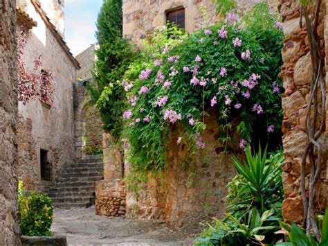 Freie kommerzielle nutzung keine namensnennung bilder in höchster qualität. Fototapete Tapete Gasse Blumen Steine Mauer Foto 360 x 270 ...