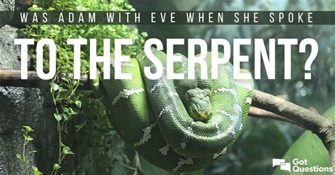 Was Adam With Eve When She Spoke To The Serpent Genesis 3 6