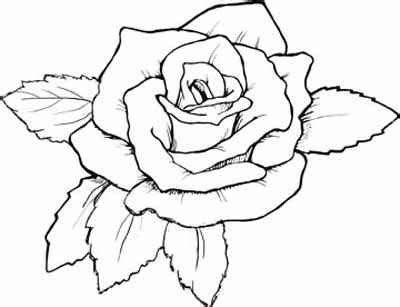 Check out our rose line art selection for the very best in unique or custom, handmade pieces from our digital prints shops. line drawings of roses - Clip Art Library