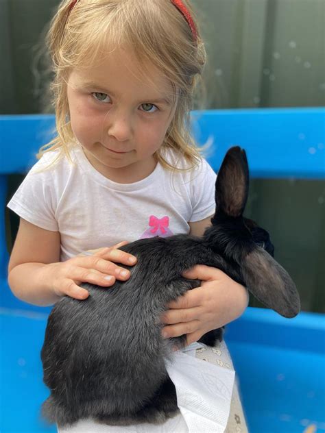1 Best Udadthedude Images On Pholder My Daughter And A Bunny
