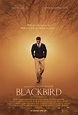 Blackbird Film Screening ~ Recap | Majic 102.1