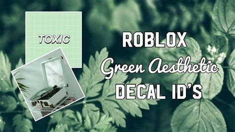 Best Roblox Aesthetic Decal Lily Roblox Id