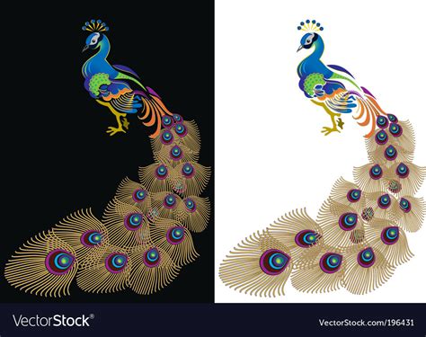 peacock royalty free vector image vectorstock