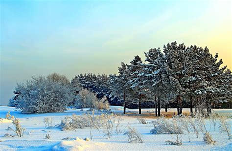 Widescreen Nature Amazing Landscapewinter Snow Hd