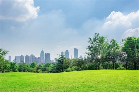 City Park Under Blue Sky With Downtown Skyline In The Background Free