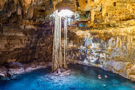 Cenote Samulá Wallpapers Backgrounds And More