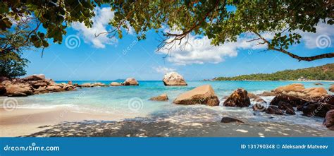 Palm And Tropical Beach Panorama Anse Lazio Beach At Praslin Island