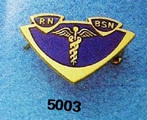 Rn Bsn Lapel Pin Insignia Emblem Registered Nurse Graduation Pinning