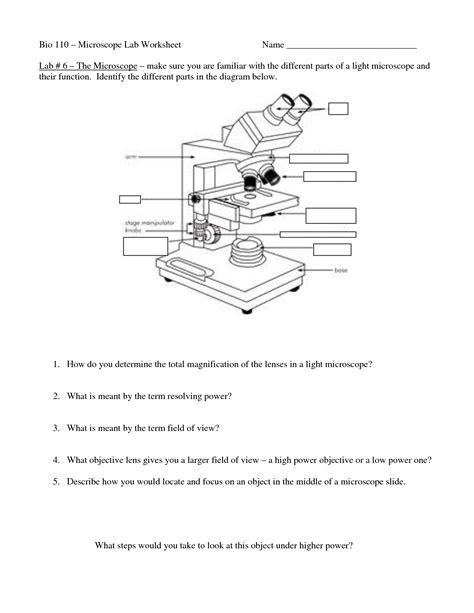 Microscope Worksheet Paragraph Worksheeto Com