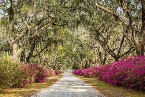 35 Fun Things To Do In Savannah Georgia