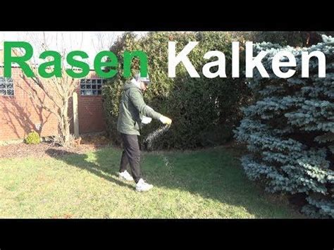 Eine vielzahl von faktoren bestimmt den weiteren verlauf des wachstums nach einer rasenneuansaat. Rasen kalken - Warum und wann Rasen kalken - Rasenkalk ...
