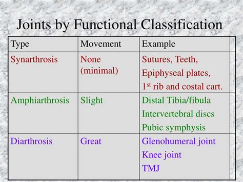 Ppt Joints And Muscles Powerpoint Presentation Free Download Id618562