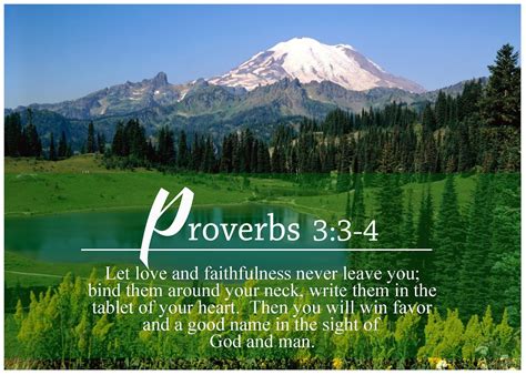 Proverbs 3 3 4 For God So Loved The World Wisdom Books Proverbs
