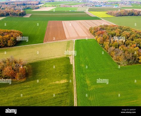 Aerial View Of A Pastures And Arable Land Panorama Over Healthy Green