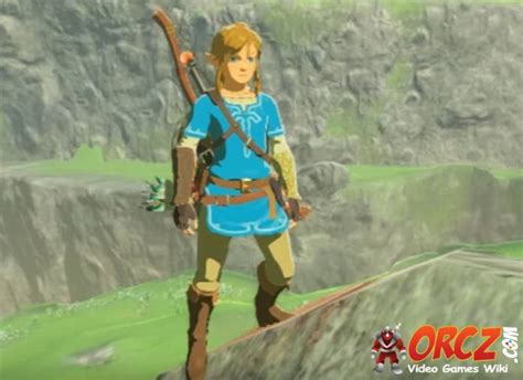 Breath Of The Wild Link The Video Games Wiki