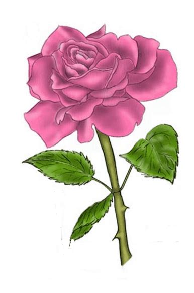 Single Red Rose Drawing Free Download On Clipartmag