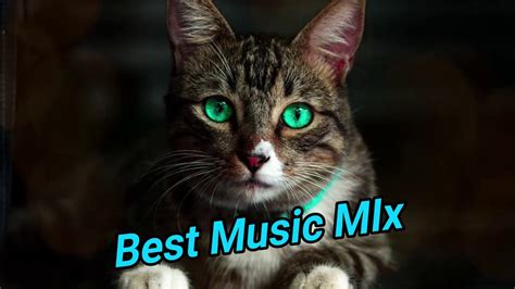 Best Music 2020 Mix ♫ Best Gaming Music Trap Dubstep Dnb Electro