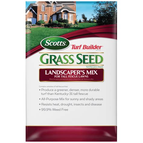 Shop Scotts Turf Builder 40 Lbs Sun And Shade Fescue Grass Seed Mixture